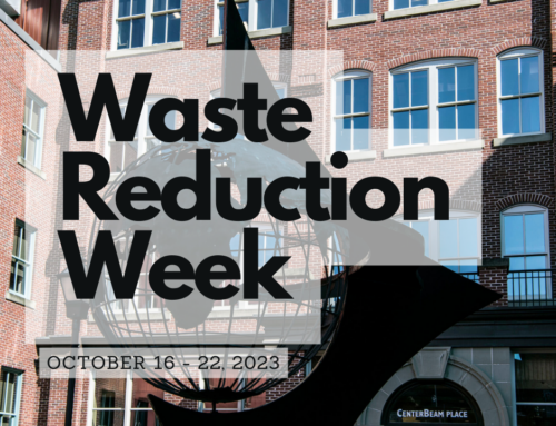 Waste Reduction Week: Practical Ideas for Your Office